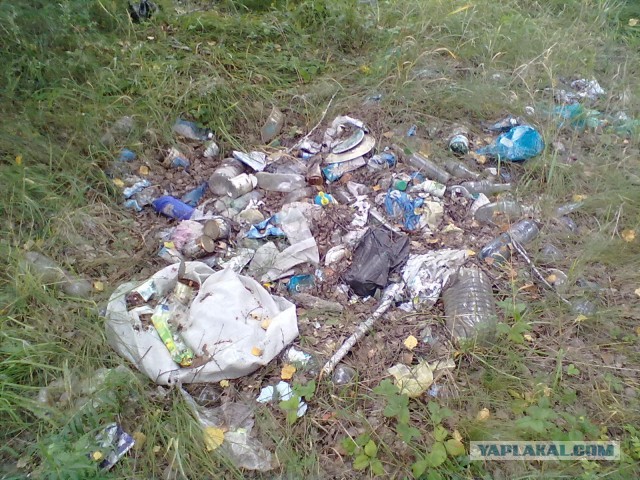 Выбрались за грибами.