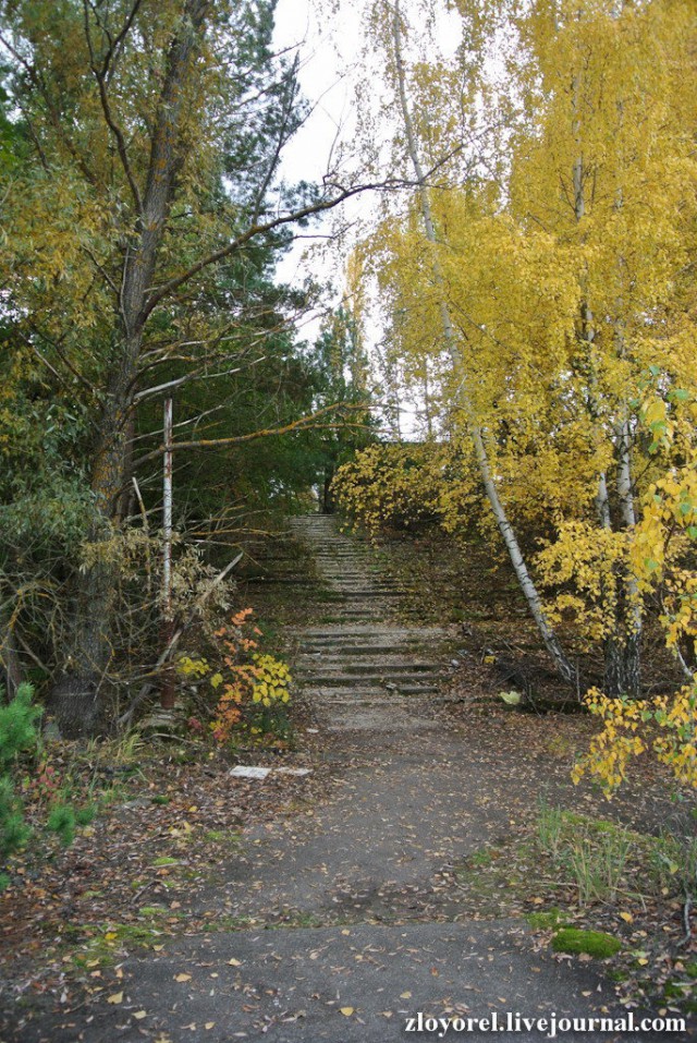Чернобыльская Зона Отчуждения