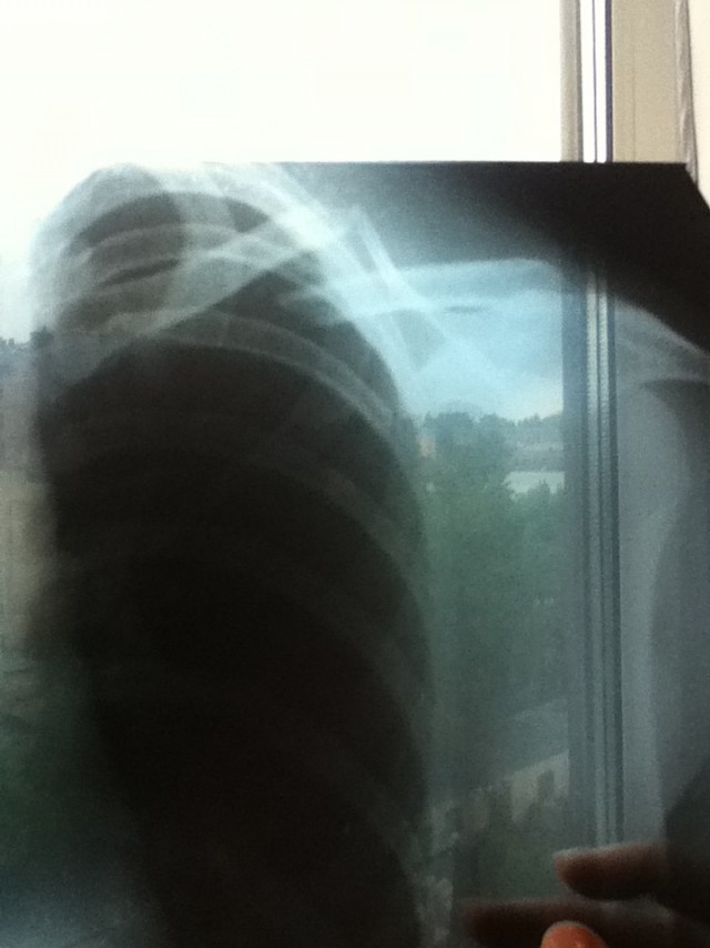 Давайте знакомиться