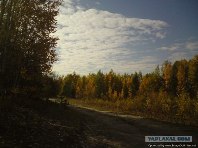 Трасса Нижневартовск-Сургут в -40 градусов