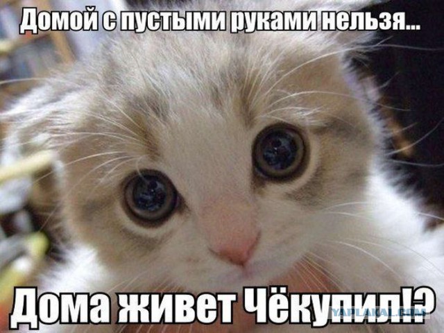 Мини подборка приколов