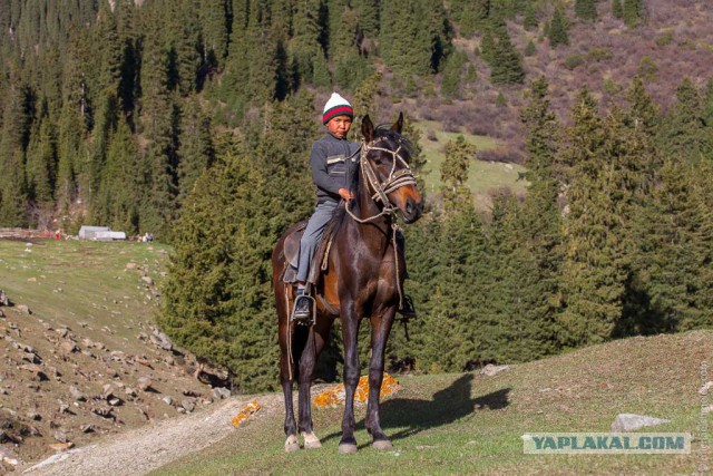 Киргизия, май 2014