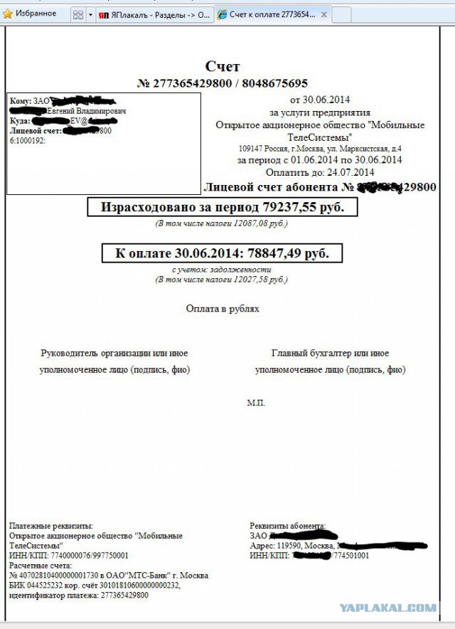 Съездили так в Египет
