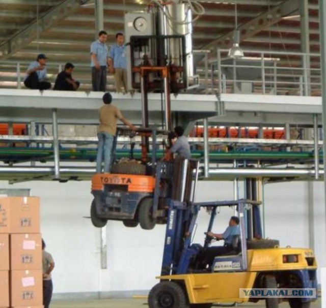 Почему женщины живут дольше мужчин