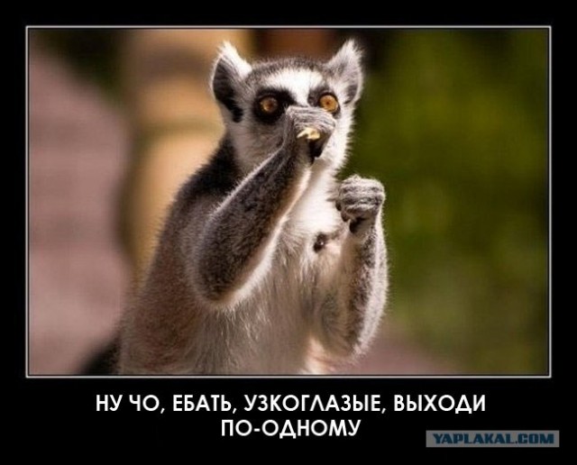 Япония готова объявить войну России?