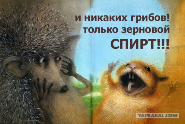 Любимая ГРИБОСРЕДА – опять нас радует всегда!