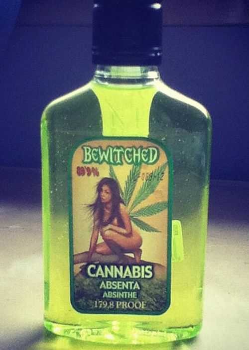 Абсент превратил отдых парня в жуткий кошмар