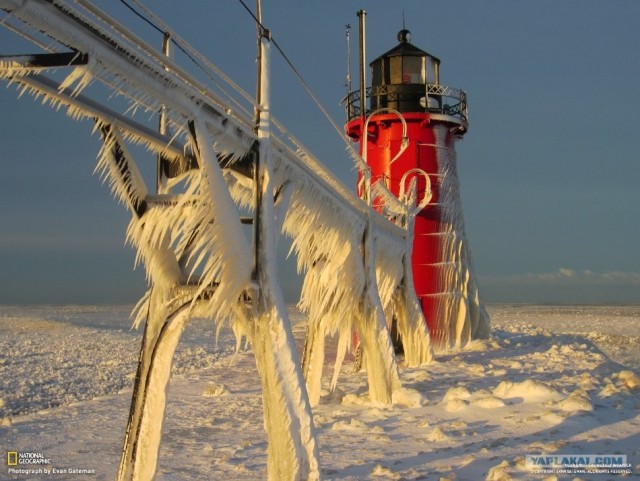 Лучшие фотографии недели