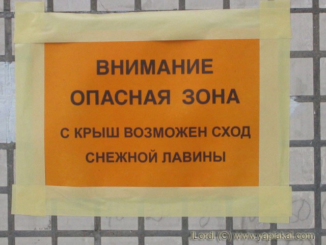 ОБЪЯВЛЕНИЯ. На стенах, в газетах, афиши.