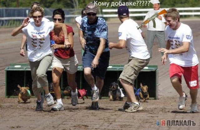 Фотожаба: Повар-шалун!