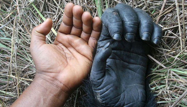 Патриарх Кирилл согласовал передачу Исаакия РПЦ лично с Путиным