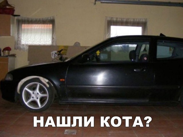 Подборка безудержного веселья