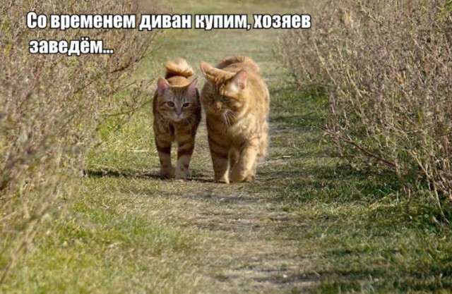 Подборка интересных и веселых картинок