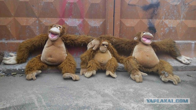 Удивительные снимки с российских просторов