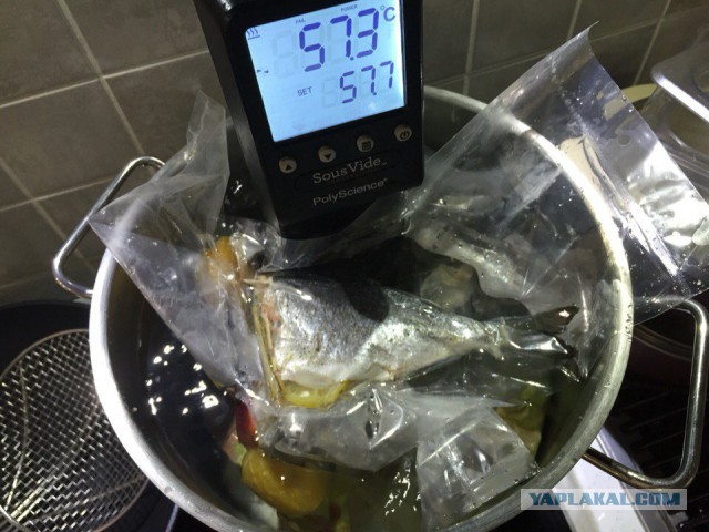 Souse-Vide, что это?