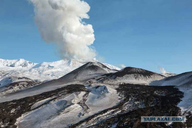 Только что долбануло на Камчатке.