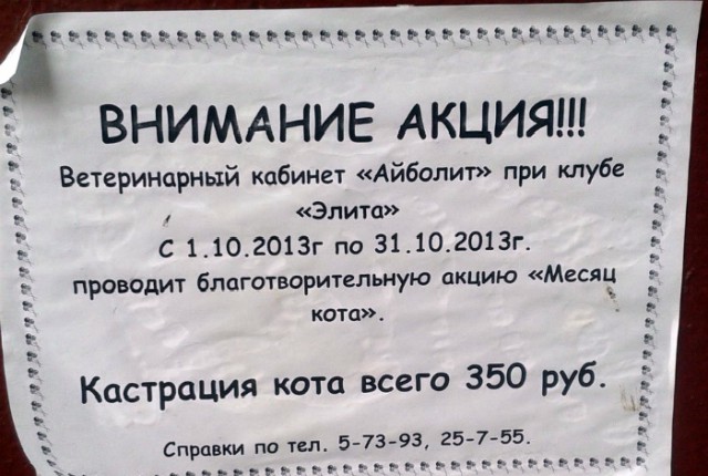 20 эпичных акций и маркетинговых предложений, которые сражают своей нелепостью