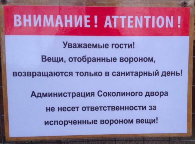 Просто юмор #24