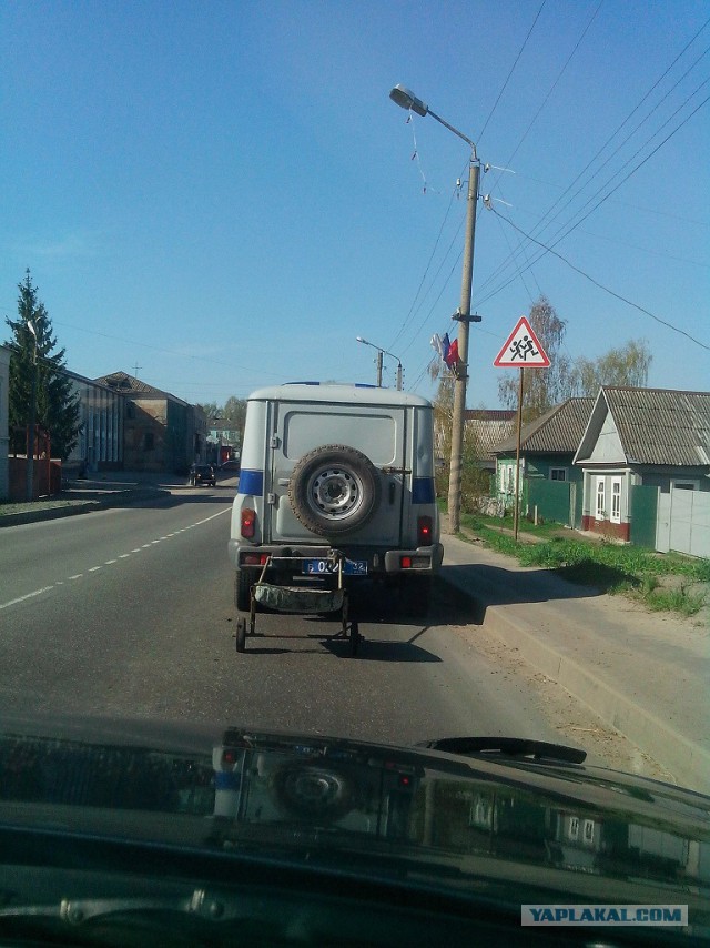 Кого только не встретишь по дороге домой