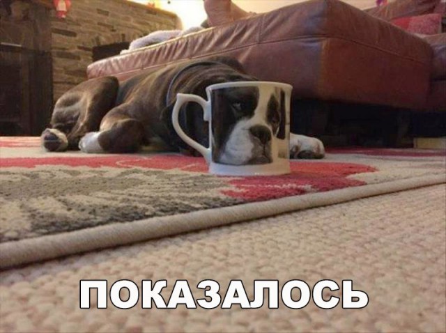 Нестандартный юмор
