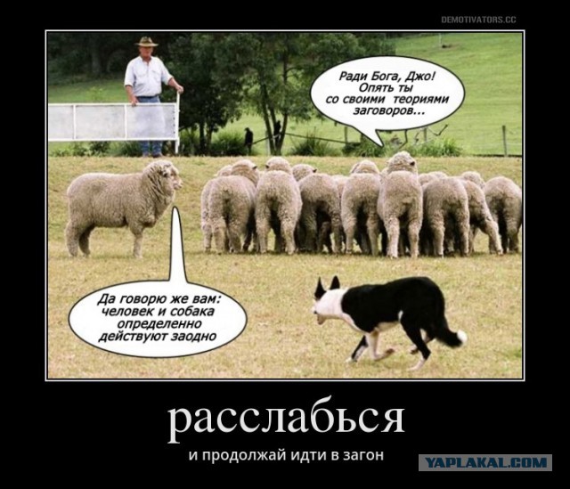 Дети крышуют ТЦ Победа Плаза? (г. Саратов)