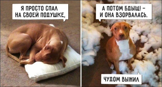 Немного картинок в эту пятницу