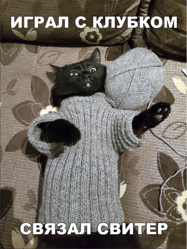 Немного милоты