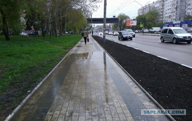 Операция Стопхам пошла не по плану, не вывезли гопника