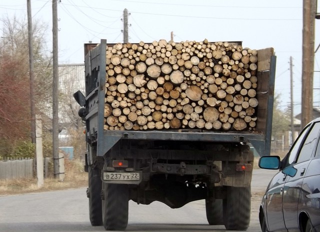 И всё-таки она наша. Лента картинок