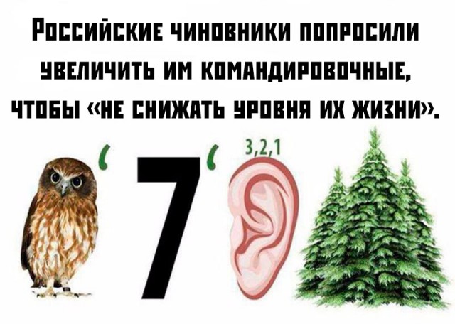 Картинки для настроения, честно стыренные на просторах тырнета