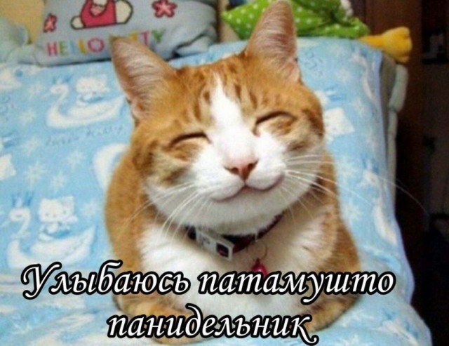 Запах танка, картинок пост