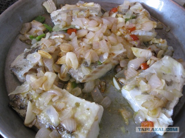 Треска с попугаями