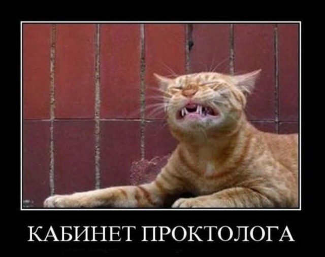 Бредзона 14.05.20