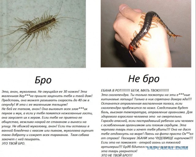 Какой должна быть женщина