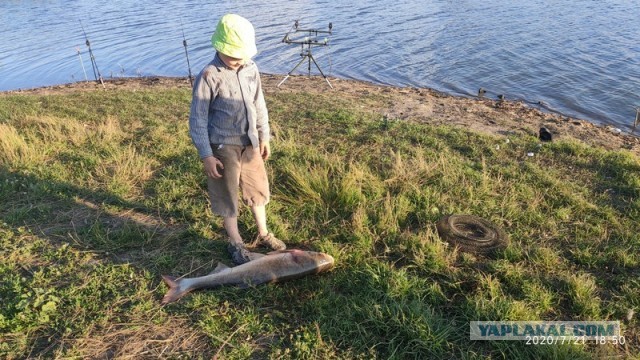 Очень коротко про рыбалку!