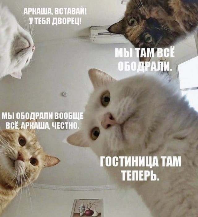 Очередная порция вранья от МИД
