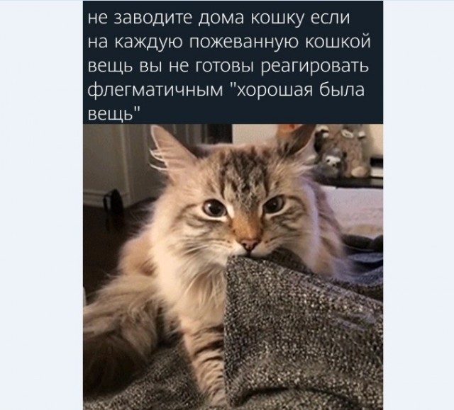 Картинки и мемы для настроения 24.02.2021