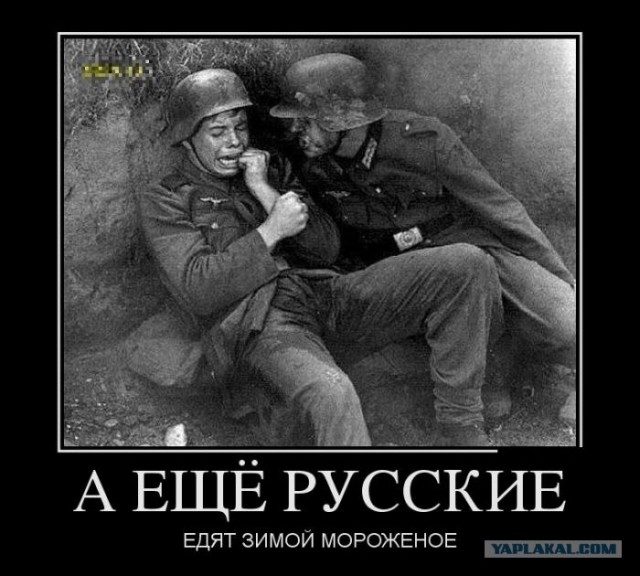 Армейские отжимания