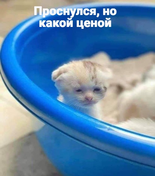 Немного картинок