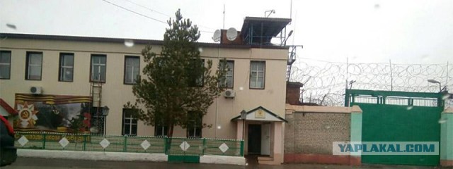 Живу в городе Янгстаун, штат Огайо
