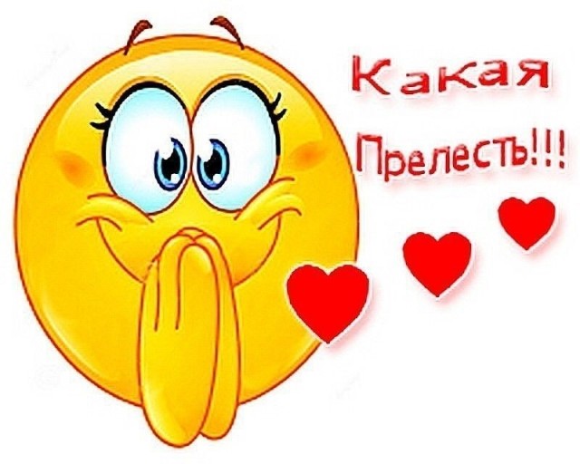  Мама утка играет со своими утятами в прятки!