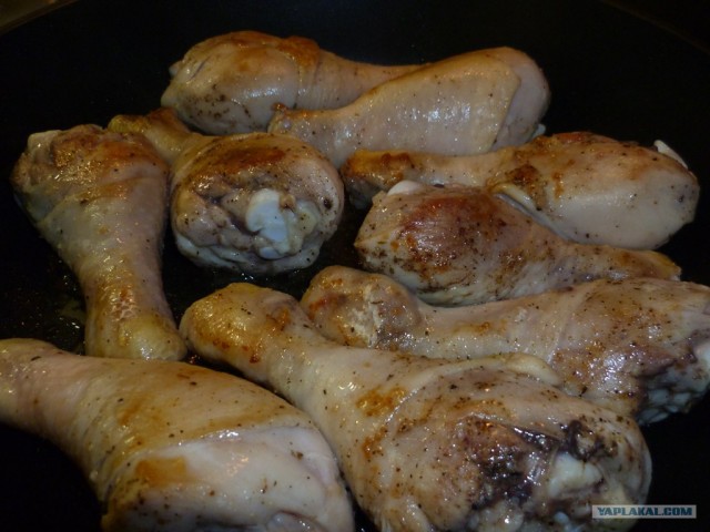 International одной книги., В память о Дженибеке.