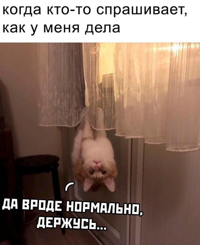 Мешанина из картинок, поулыбаться или просто пофтыкать