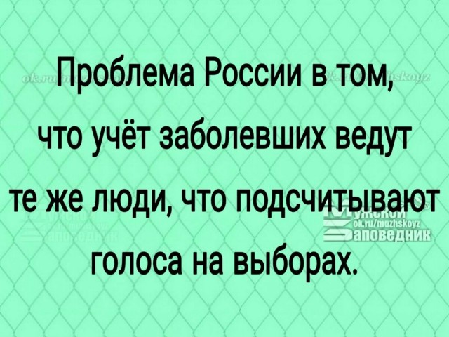 В Совете Федерации поддержали инициативу прощать купивших фальшивые QR-коды и сертификаты, если те всё же сделают прививку