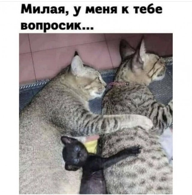 Так себе картинки 17.11.21