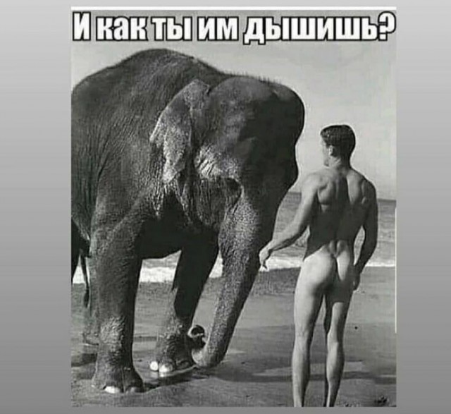 В нём веса 8 тонн