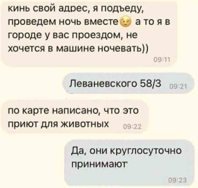 Воскресная Хня вам в ленту, дорогие деграданты