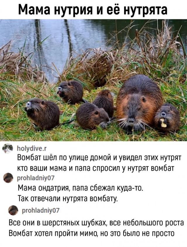 Так себе картинки 07.04.22