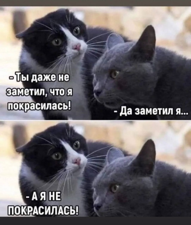 Так себе картинки 23.04.22