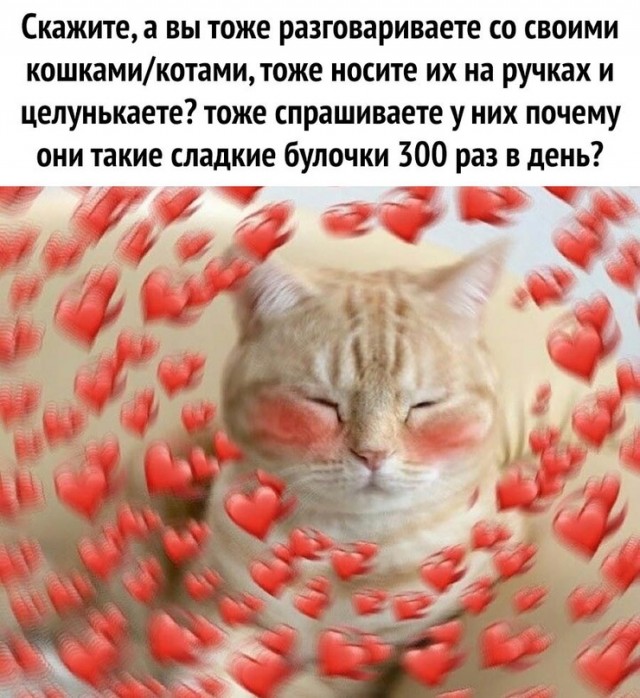 Картинки и мемы для настроения - 21